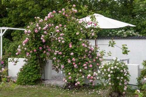Vallby Cottage Enkoping Ngoại thất bức ảnh