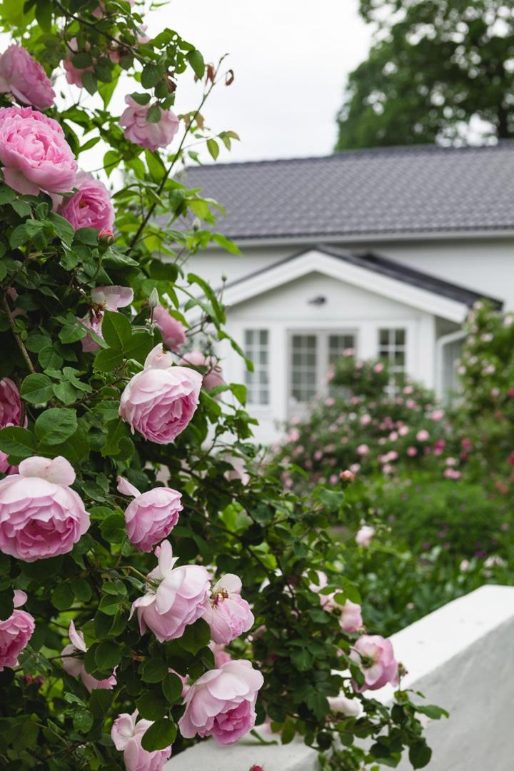 Vallby Cottage Enkoping Ngoại thất bức ảnh